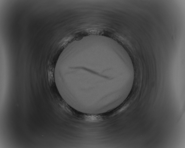 X0000082940432200703020131