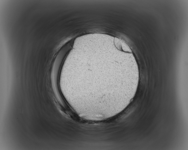 X0000082940433200703020130