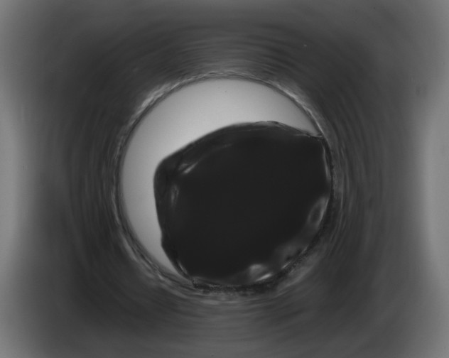 X0000082940434200703020131