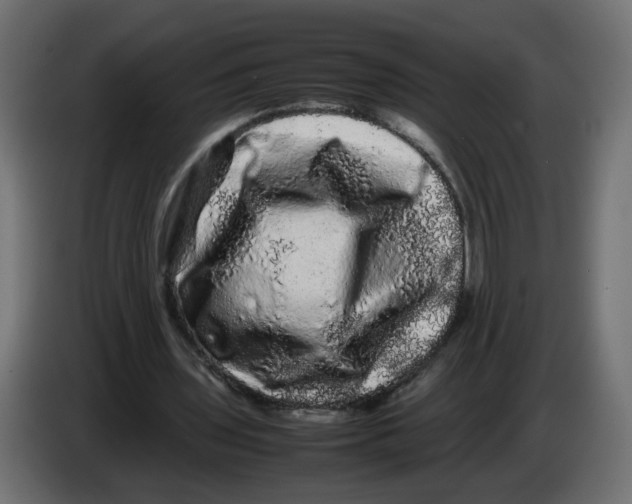 X0000082940435200703020131