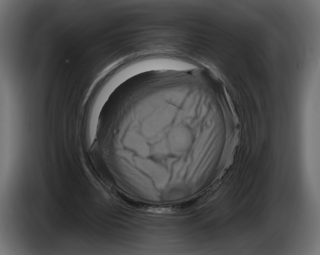 X0000082940440200703020131