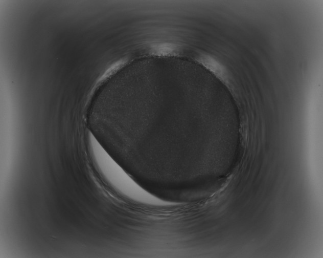 X0000082940442200703020131