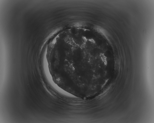 X0000082940443200703020131