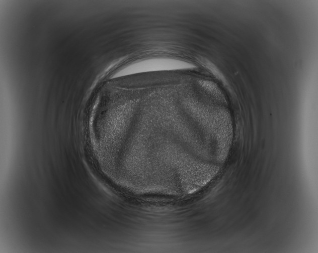 X0000082940444200703020131