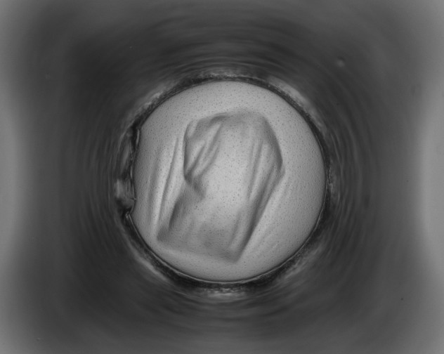 X0000082940445200703020131