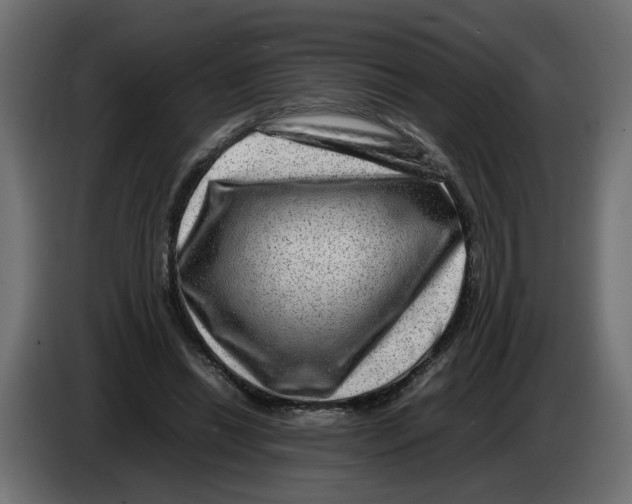 X0000082940446200703020131