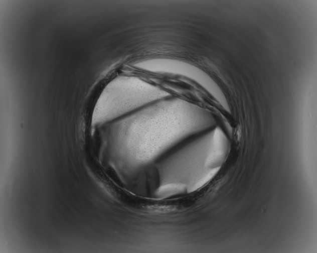 X0000082940448200703020131