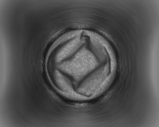 X0000082940450200703020131