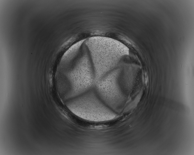 X0000082940452200703020131