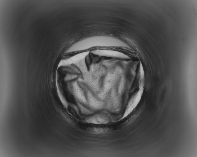 X0000082940453200703020131