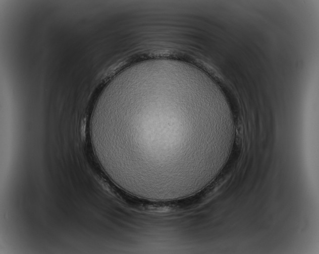 X0000082940454200703020131