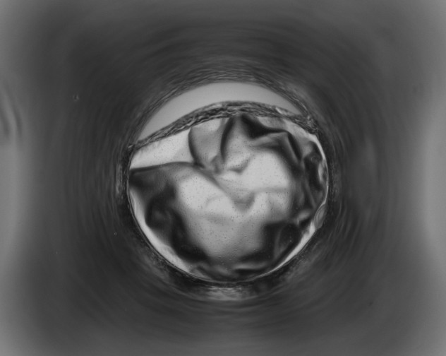 X0000082940457200703020131