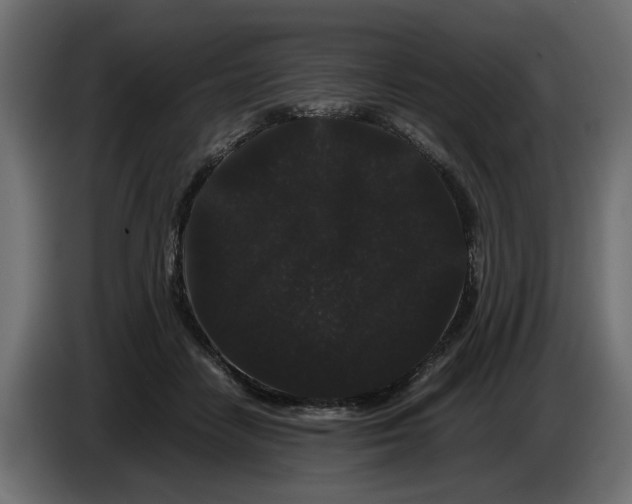 X0000082940458200703020131