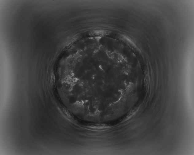 X0000082940459200703020131