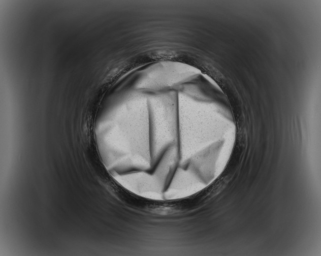 X0000082940460200703020131