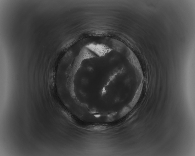 X0000082940462200703020131