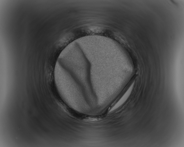 X0000082940464200703020131