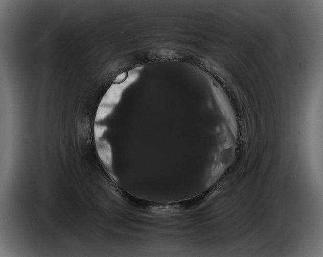 X0000082940465200703020131