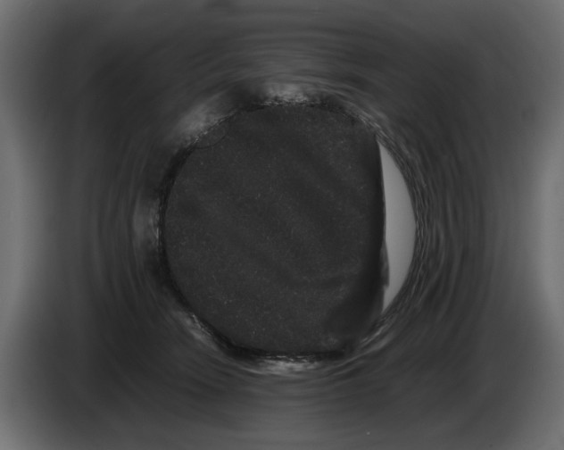 X0000082940466200703020131