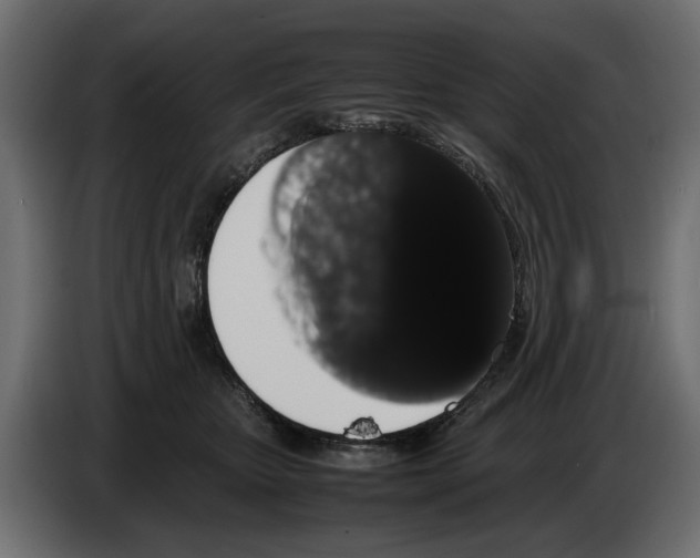 X0000082940467200703020131