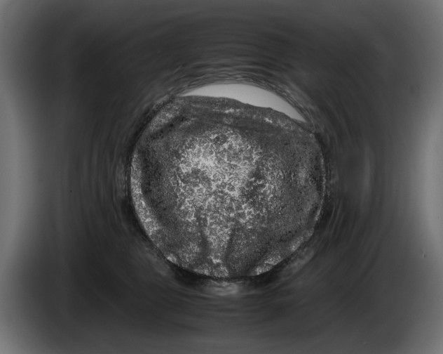 X0000082940469200703020131