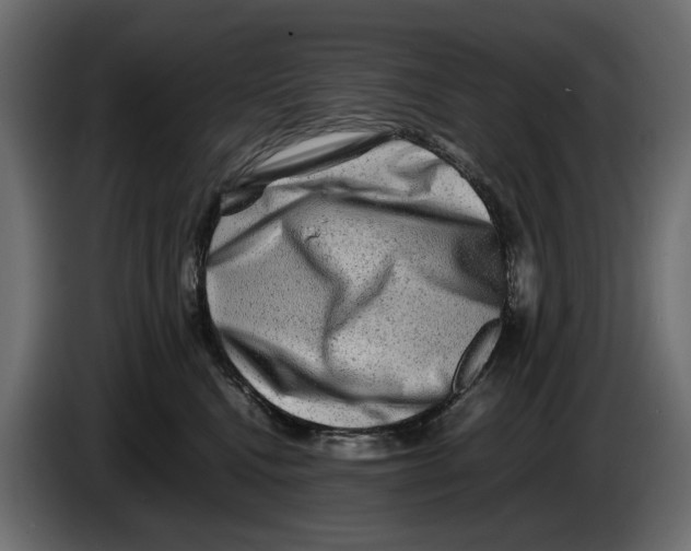 X0000082940472200703020131