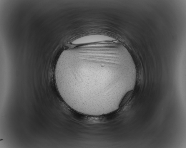 X0000082940473200703020131