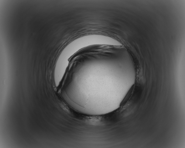 X0000082940474200703020131