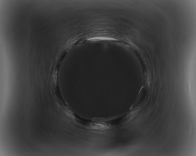 X0000082940475200703020131