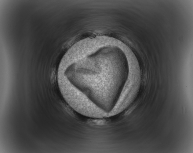 X0000082940478200703020131