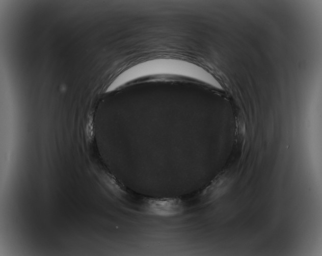 X0000082940479200703020131