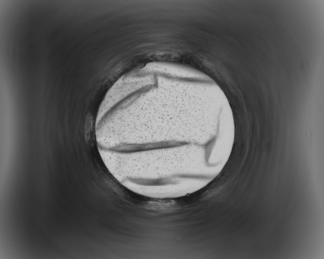 X0000082940480200703020131