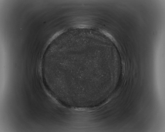 X0000082940482200703020130