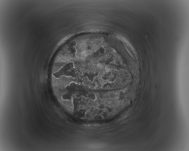 X0000082940483200703020130