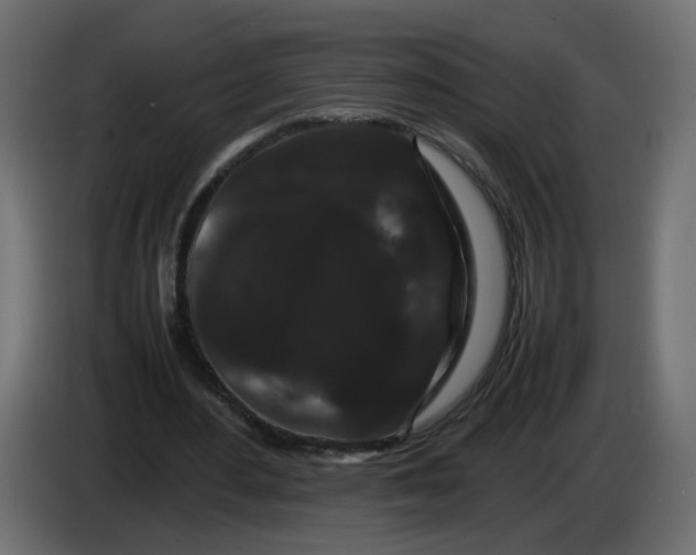 X0000082940484200703020130