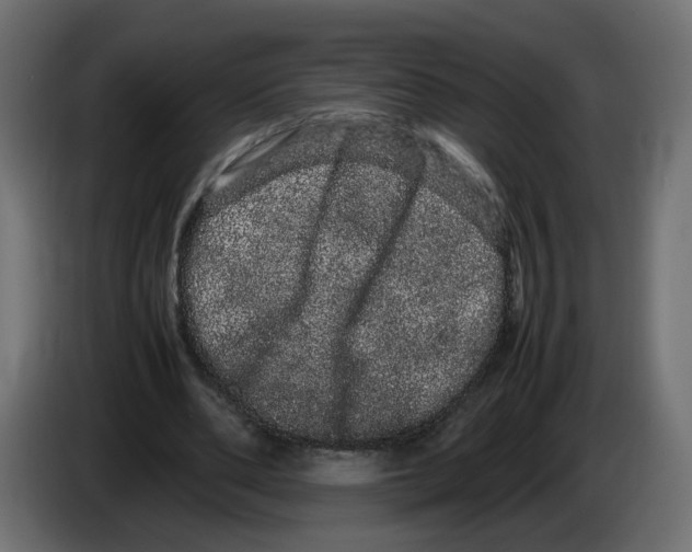 X0000082940486200703020130