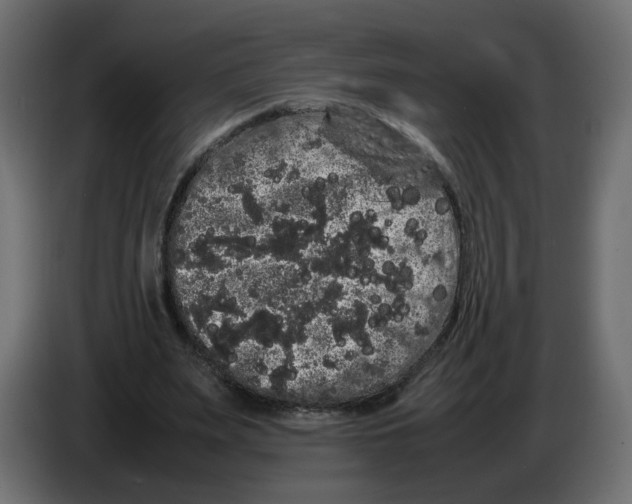 X0000082940487200703020130