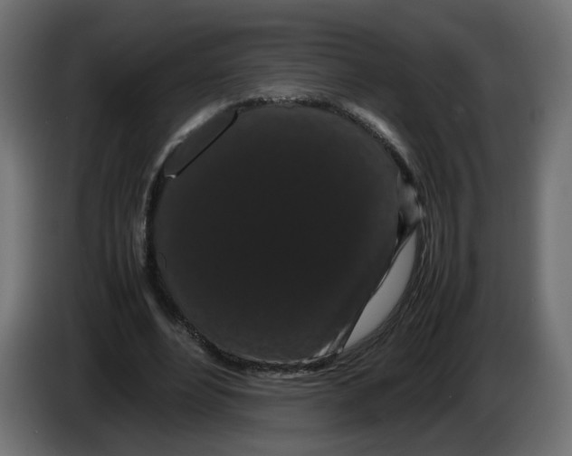 X0000082940488200703020130