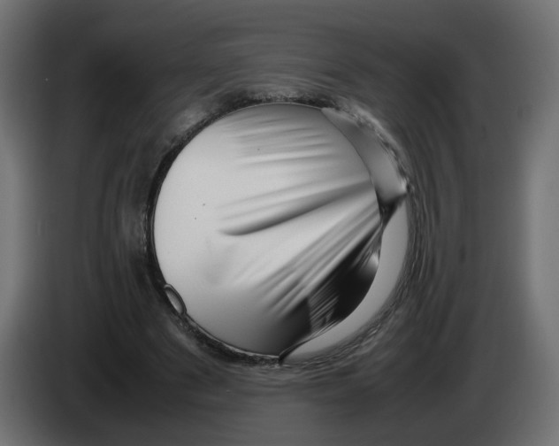 X0000082940489200703020130