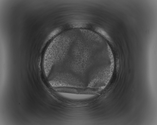 X0000082940490200703020130