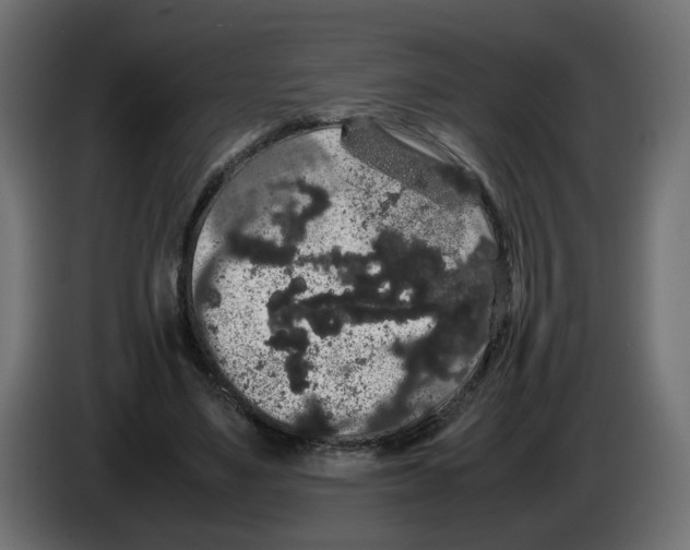 X0000082940491200703020130