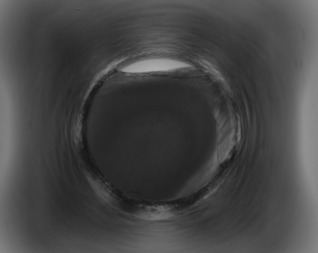 X0000082940492200703020130