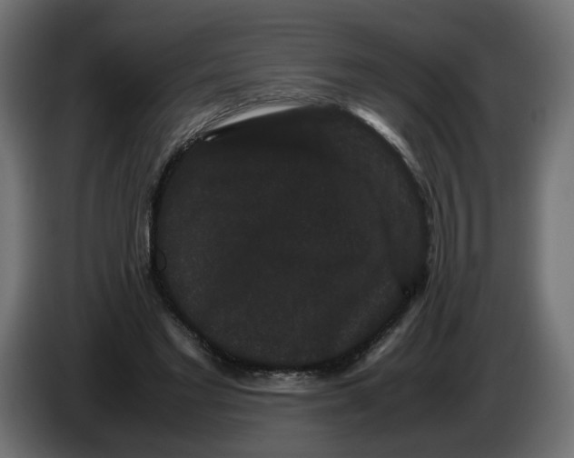 X0000082940493200703020130