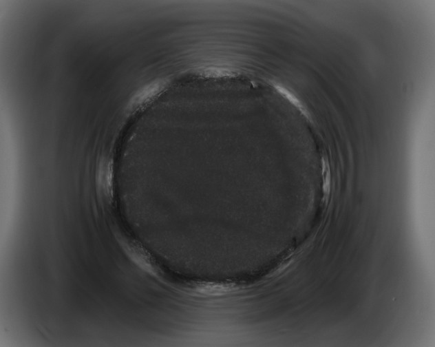 X0000082940494200703020130