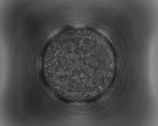 X0000082940495200703020130