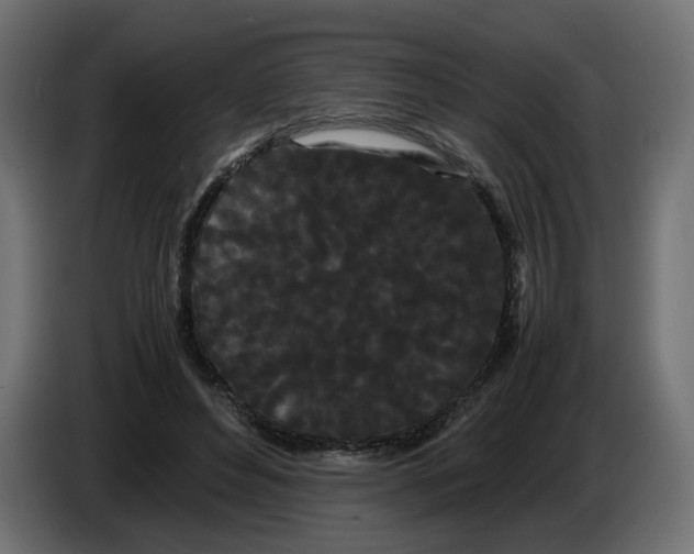 X0000082940496200703020130