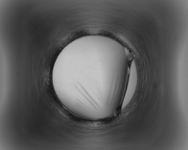 X0000082940497200703020130