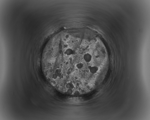 X0000082940499200703020130