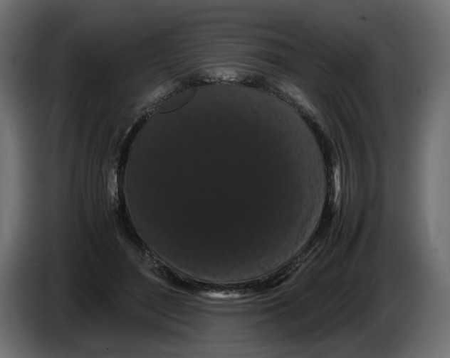 X0000082940500200703020130