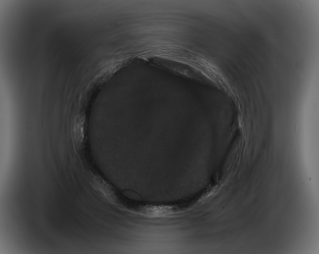 X0000082940501200703020130